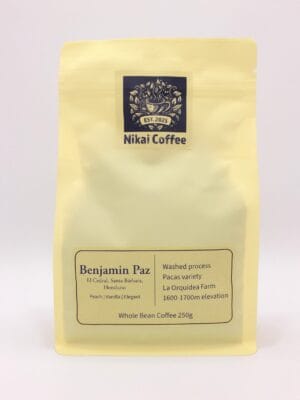 Benjamin Paz, washed, Honduras